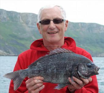 4 lb Black Sea Bream by Malcolm Butcher