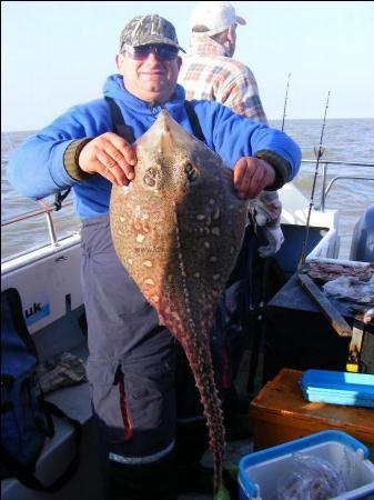 13 lb 12 oz Thornback Ray by Cliff Grimwood