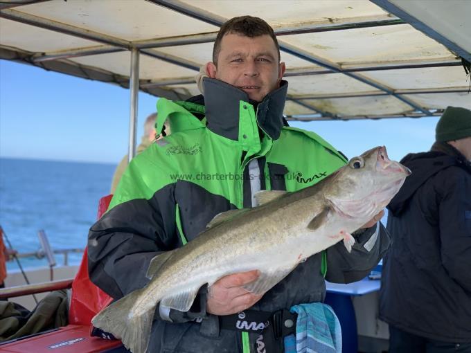 11 lb 4 oz Pollock by Scott