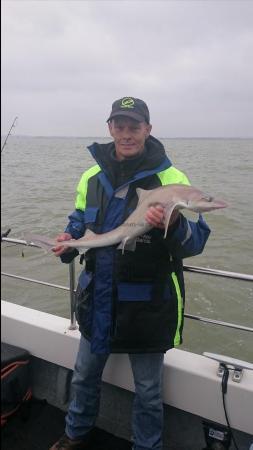 7 lb 8 oz Smooth-hound (Common) by Bob Marshall