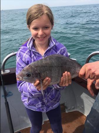 4 lb Black Sea Bream by Hannah Love