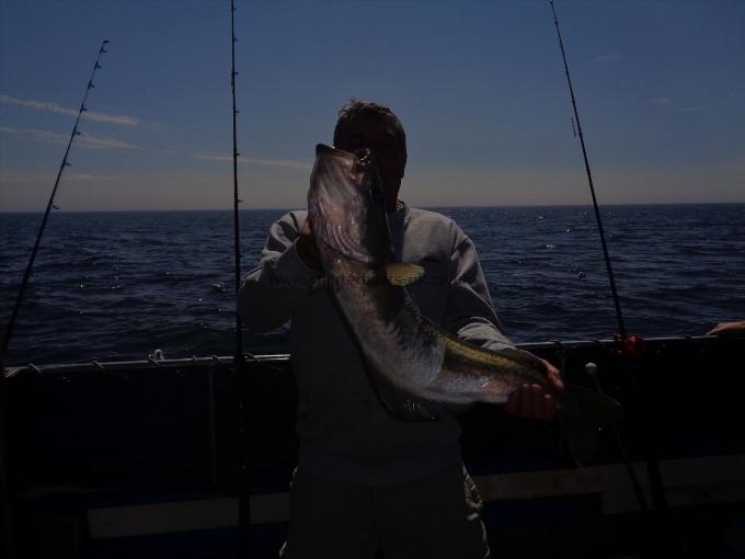 12 lb 4 oz Pollock by one of many caught