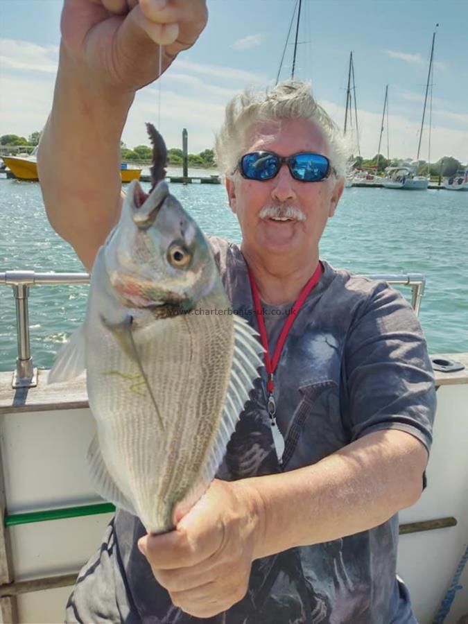 2 lb 2 oz Gilt-head Sea Bream by legend +gulthead