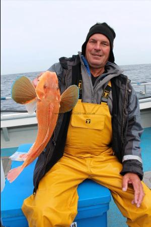 4 lb Tub Gurnard by Kevin McKie