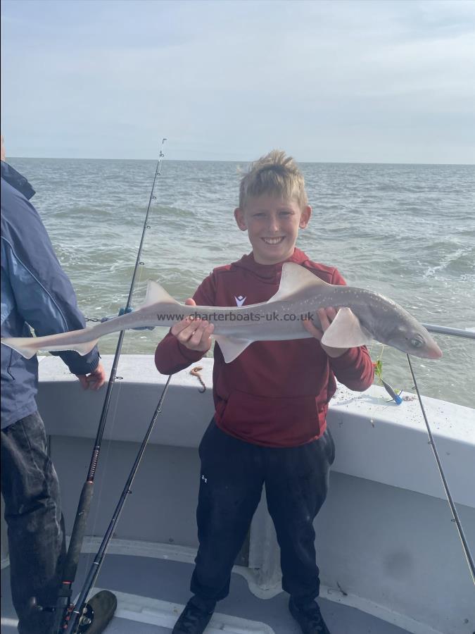 7 lb 8 oz Smooth-hound (Common) by Jack
