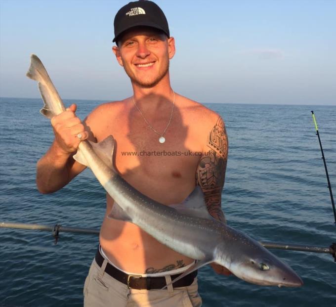 7 lb Smooth-hound by Unknown