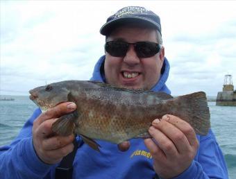 3 lb 6 oz Ballan Wrasse by Peter Gillett