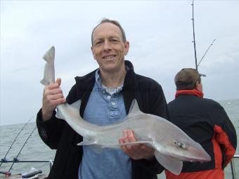 10 lb Smooth-hound (Common) by martin