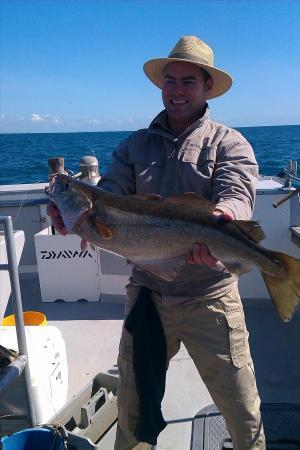 14 lb Pollock by graham