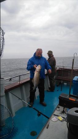 13 lb Pollock by Garth