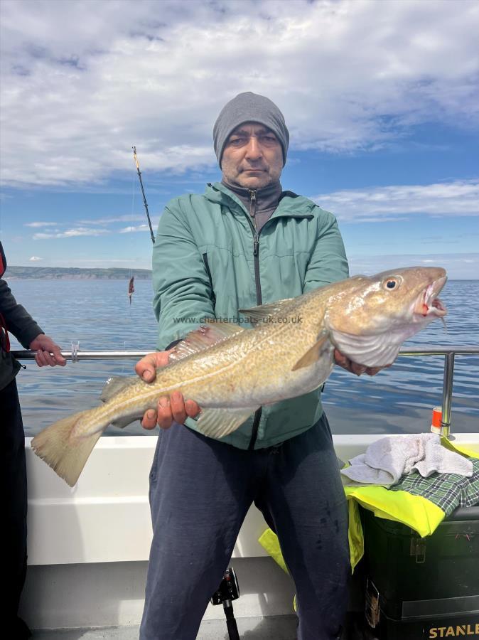7 lb Cod by Marius