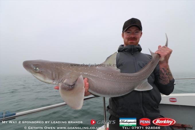 10 lb Starry Smooth-hound by Jonathon