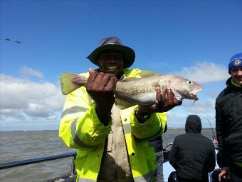 3 lb Cod by Yusif