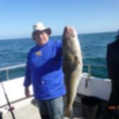 15 lb Cod by Sam