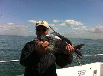 4 lb Black Sea Bream by Unknown