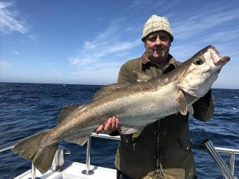 17 lb Pollock by Kevin McKie