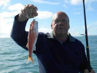 9 oz Red Mullet by Unknown