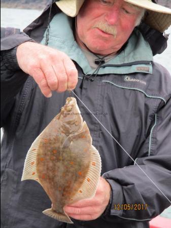 1 lb Plaice by Unknown