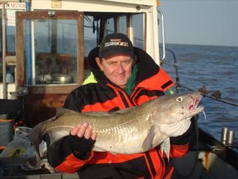 18 lb 8 oz Cod by Unknown