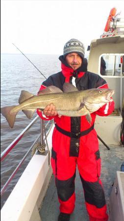 11 lb Cod by andy nibblert