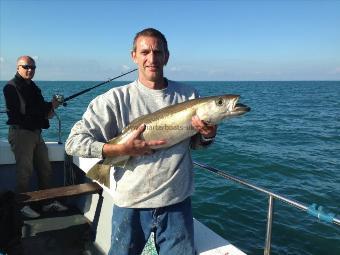 17 lb Pollock by Mark Ferris