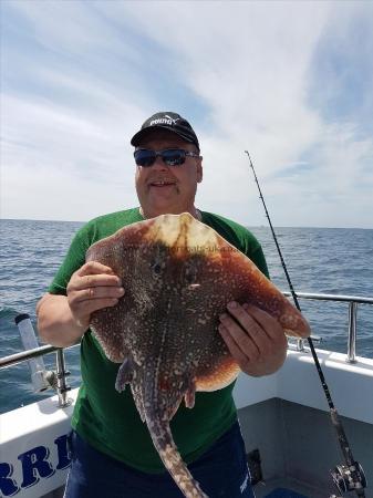 8 lb Thornback Ray by colins crew
