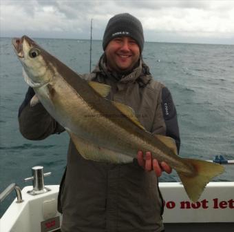 13 lb 10 oz Pollock by Unknown