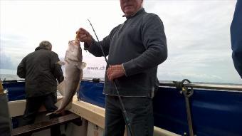 7 lb Cod by Stephen Wake