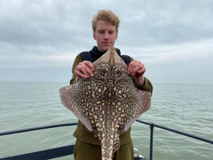 12 lb Thornback Ray by Unknown