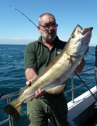 10 lb 12 oz Pollock by Bob Marshall