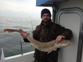 11 lb 6 oz Bull Huss by Anthony Parry