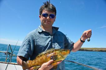 2 lb Ballan Wrasse by Martin