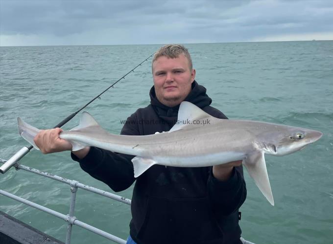 10 lb Smooth-hound by Unknown
