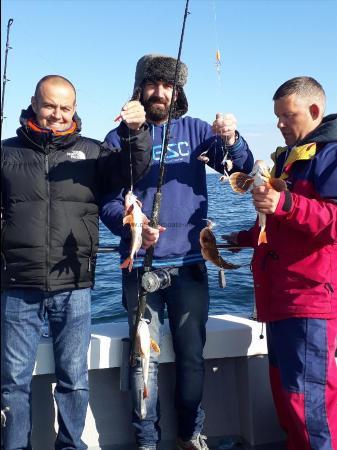 1 lb 3 oz Tub Gurnard by Unknown