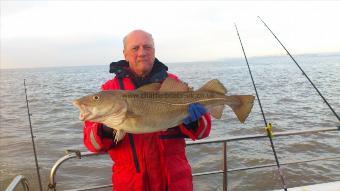 11 lb Cod by frank wilson