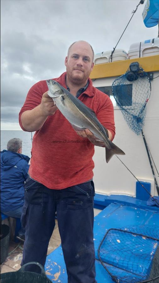 2 lb 1 oz Coalfish (Coley/Saithe) by Skipper Nick Gough