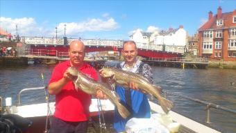 14 lb 7 oz Cod by juris