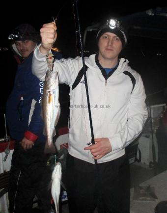1 lb Whiting by Matthew Lewis