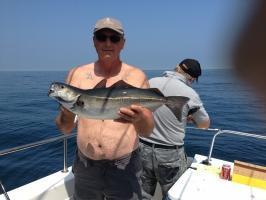 6 lb 4 oz Coalfish (Coley/Saithe) by Ray Gatterall