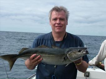 6 lb Coalfish (Coley/Saithe) by a angler