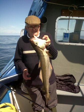 8 lb 10 oz Pollock by tony taylor