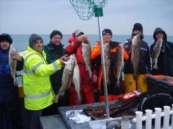12 lb Cod by Hatcher Joinery Day Out