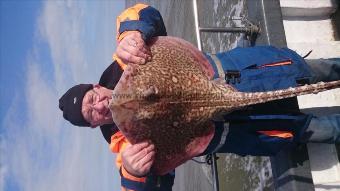14 lb 2 oz Thornback Ray by Nick from Canterbury