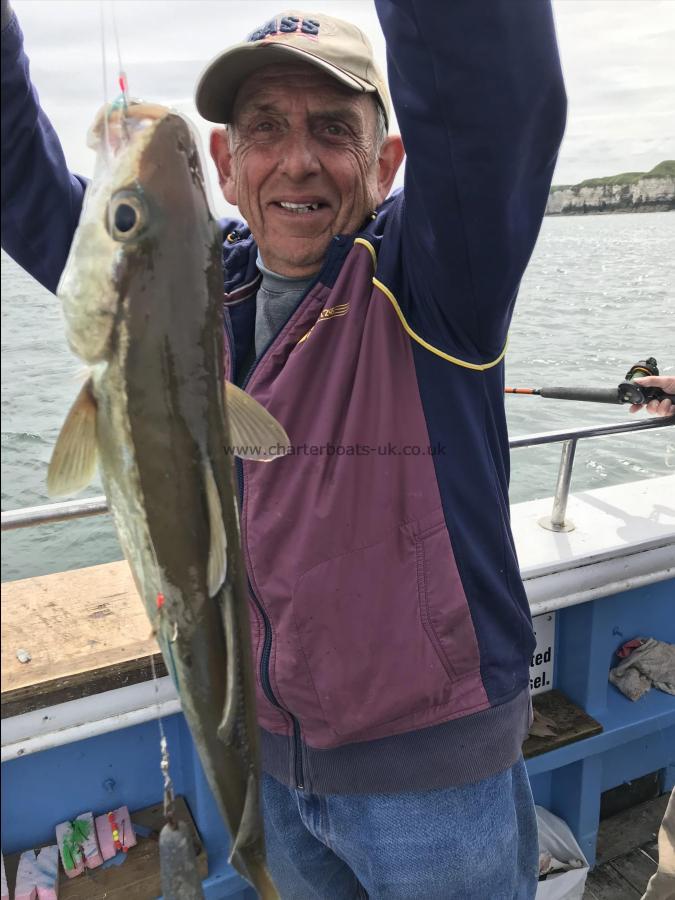 5 lb Pollock by Dave sansby with a good pollock 15/6/2018