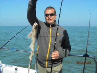 2 lb 5 oz Lesser Spotted Dogfish by Mick Shaw