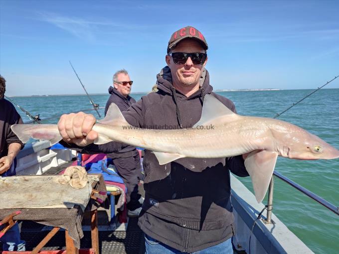8 lb Smooth-hound by Paul