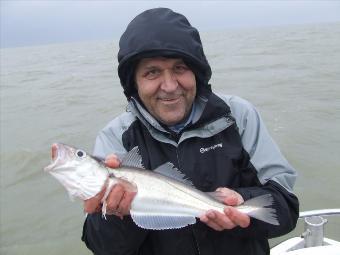 1 lb 10 oz Whiting by john banks