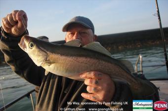 2 lb Pollock by Brooksy