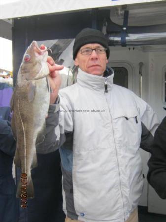 4 lb Cod by Unknown