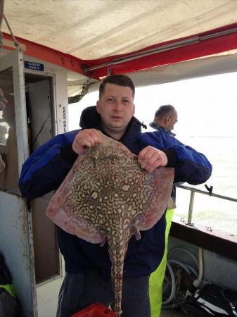 8 lb Thornback Ray by Unknown